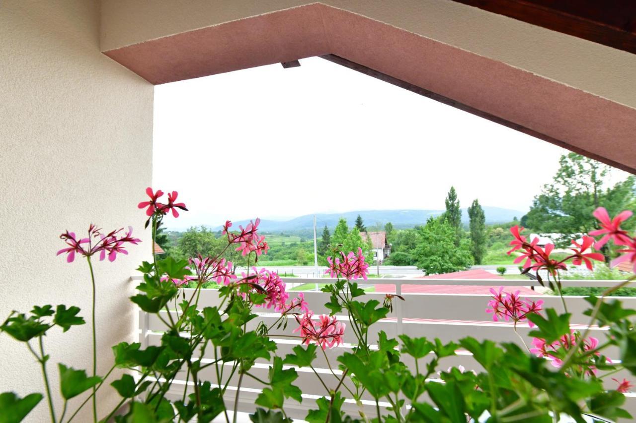 House Bela Vido Hotel Drežnik Grad Exterior foto