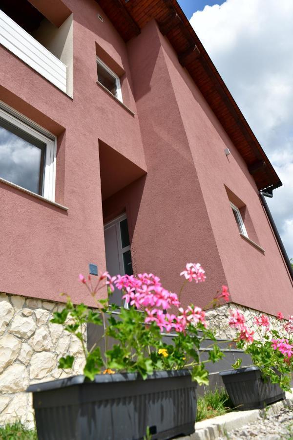House Bela Vido Hotel Drežnik Grad Exterior foto